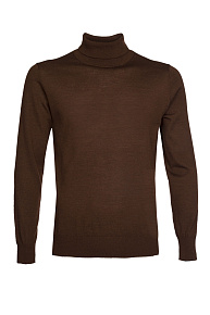 Водолазка коричневая с высокой горловиной из тонкой шерсти  (TURTLN/7M1670)