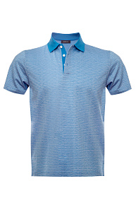 Поло из хлопка голубого цвета (4080 DW Lt.Blue)